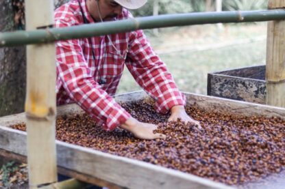 Satoshi Specialty Blend - Finca Las Veraneras Red Bourbon ABM & San Pacho Honey Process - Image 2